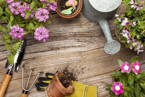 Fresh soft landscaping finish for a residential or commercial property in Bethnalgreen