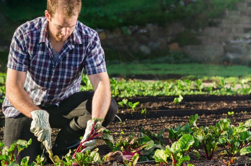 Trusted online landscaping checkout with card options