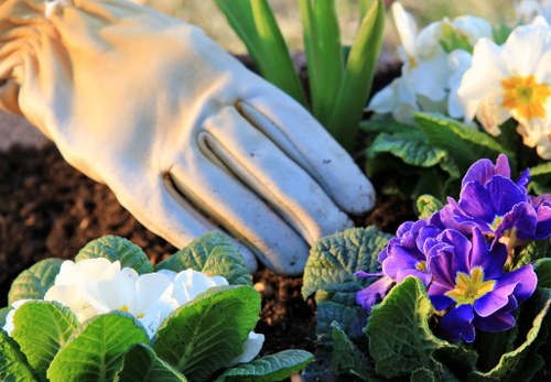 Safe landscaping operations with tidy tools and protective gear