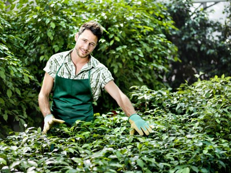 Trained landscaper working carefully on a garden project in Bethnalgreen