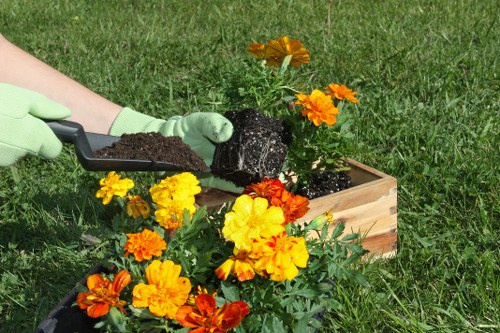 Screen-reader compatible landscaping Bethnalgreen accessibility review