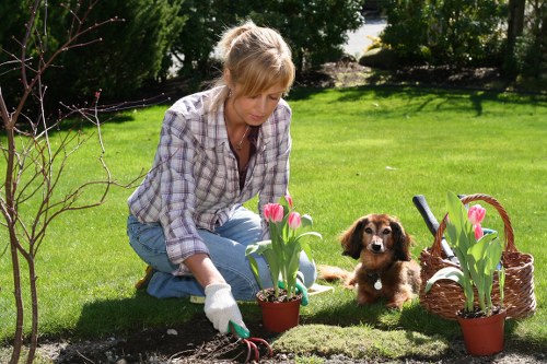 Supplier compliance review for landscaping materials