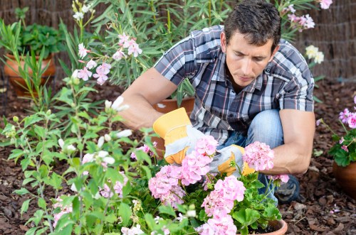 A close look at paving and planting quality during review